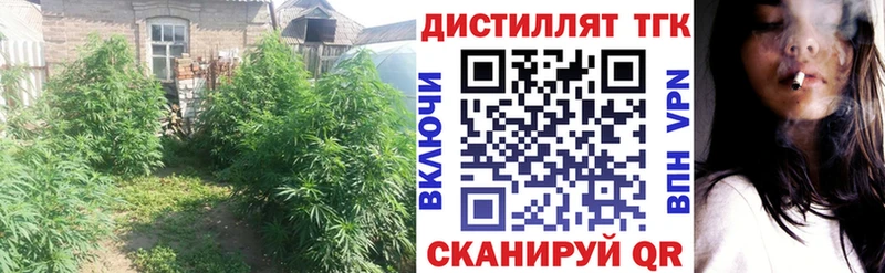 Купить  Нижний Тагил  Дистиллят ТГК гашишное масло 